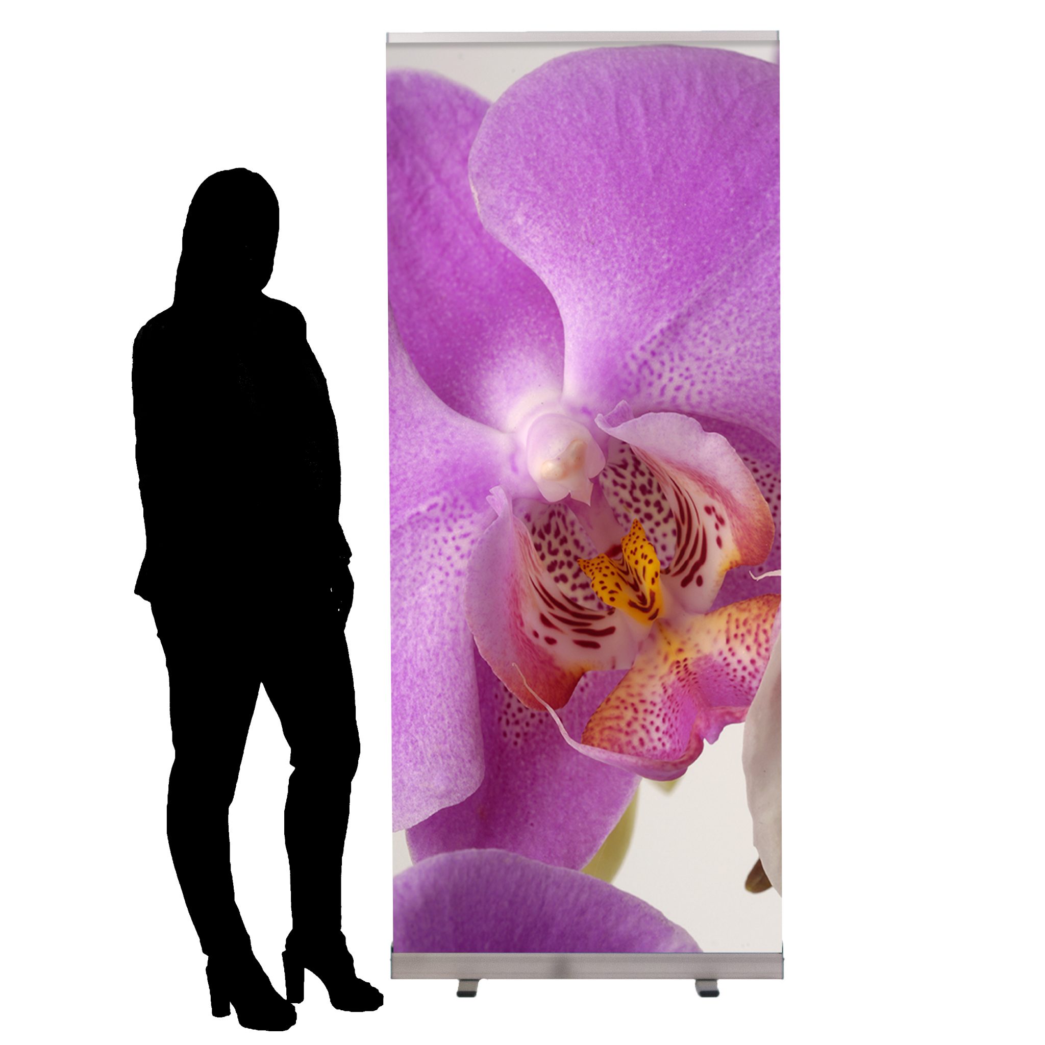 rolleco-fleur_3.jpg